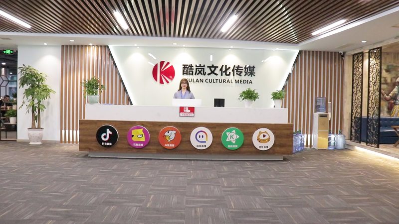mg动画素材批发网站：揭秘优质素材的选择之道