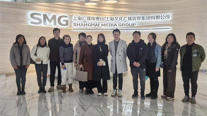 上海品牌设计整套方案报价：如何评估性价比？**